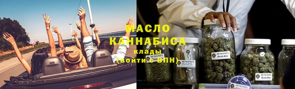 хмурый Арсеньев