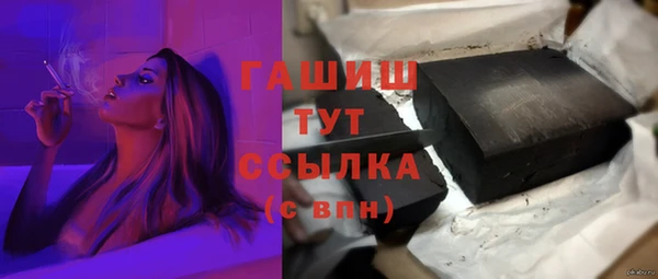 хмурый Арсеньев