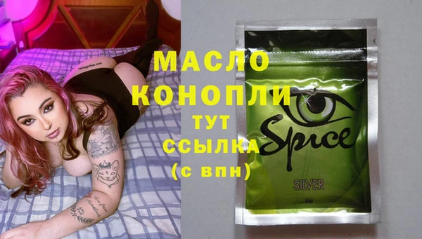 хмурый Арсеньев