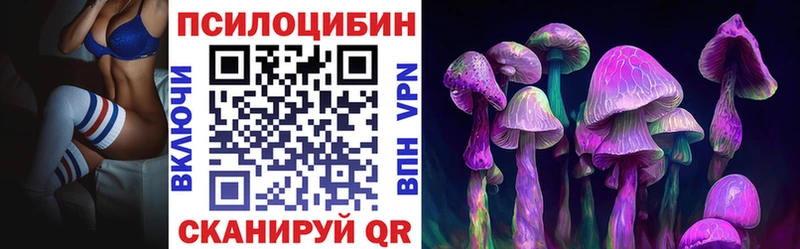 где найти   Узловая  Галлюциногенные грибы Cubensis 